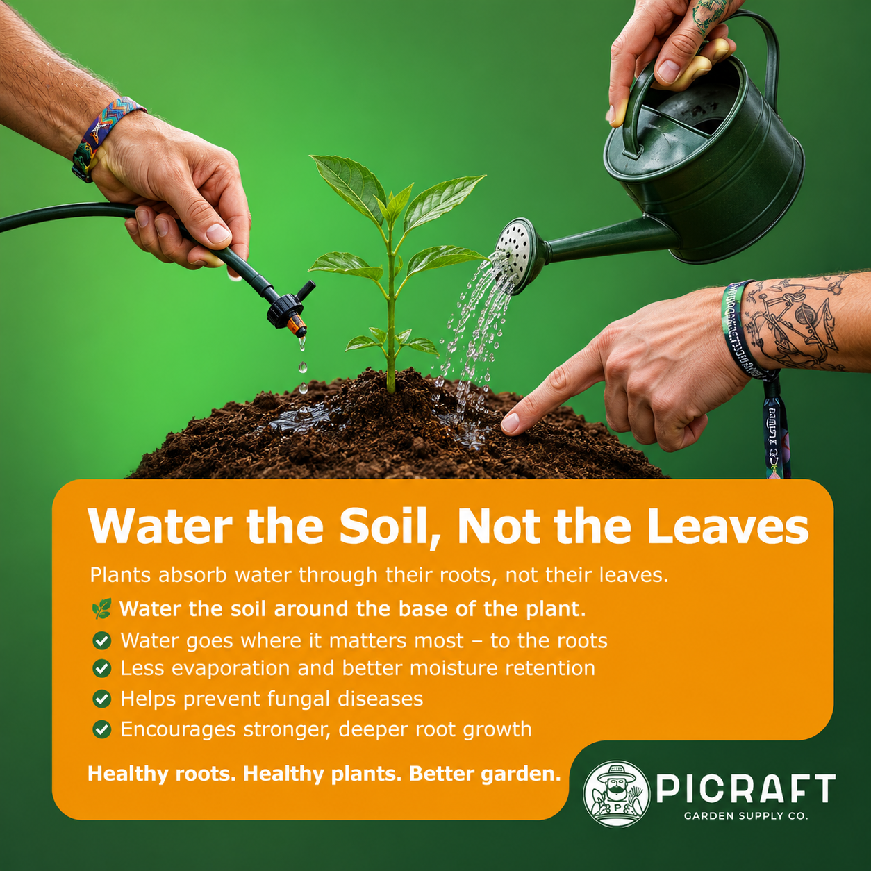 Water the Soil, Not the Leaves