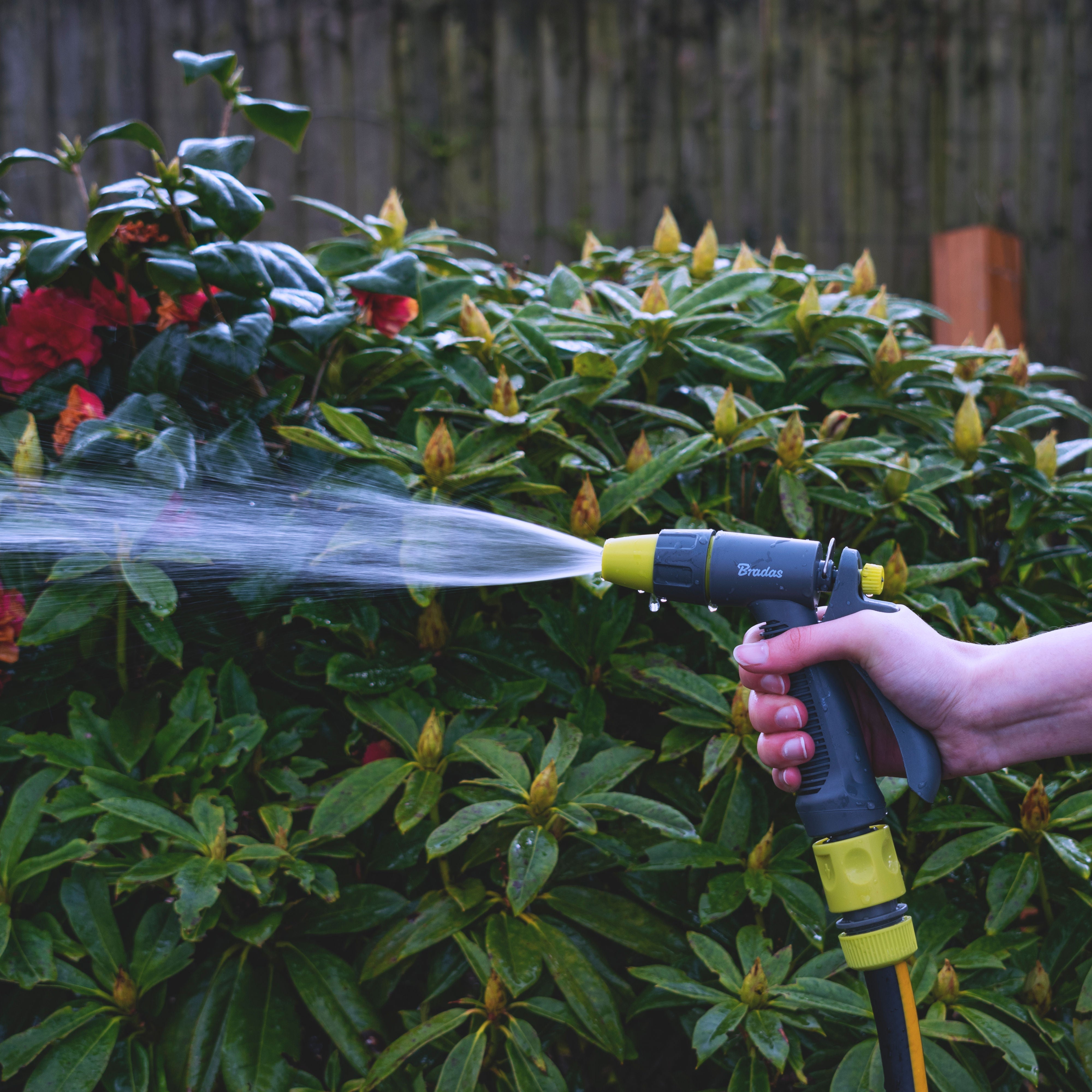 Hose Gun Water Sprayer Adjustable, Lime