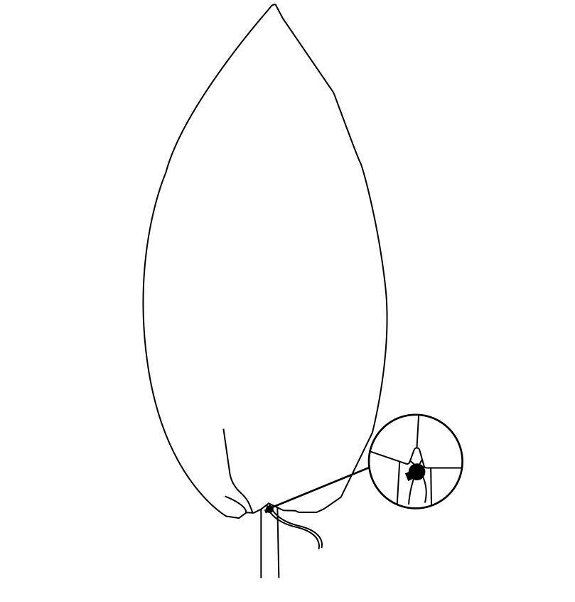 Protective Plant Cover, 50gsm Sack with Cord, Diameter: 38 cm, Size: 0.6m × 0.8 m