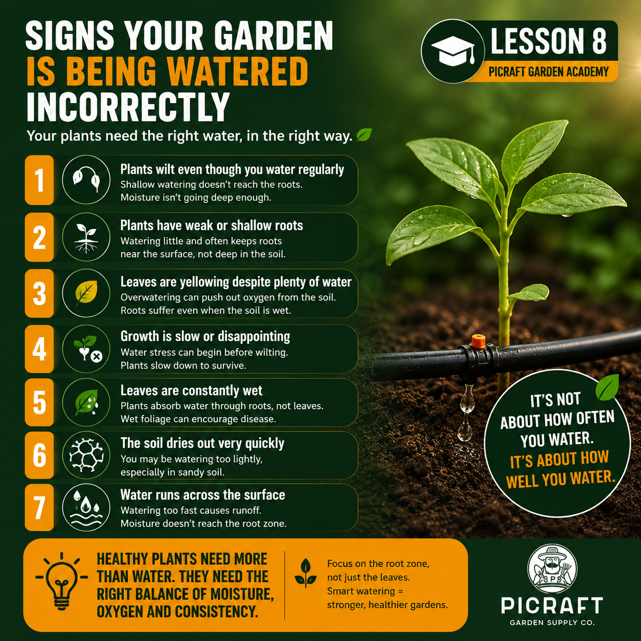 7 Signs Your Garden Is Being Watered Incorrectly