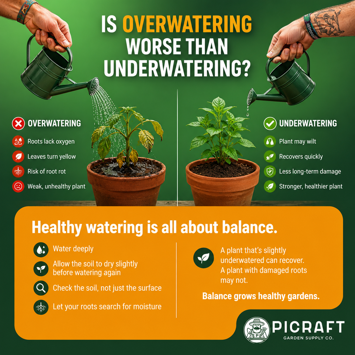 Is Overwatering Worse Than Underwatering?