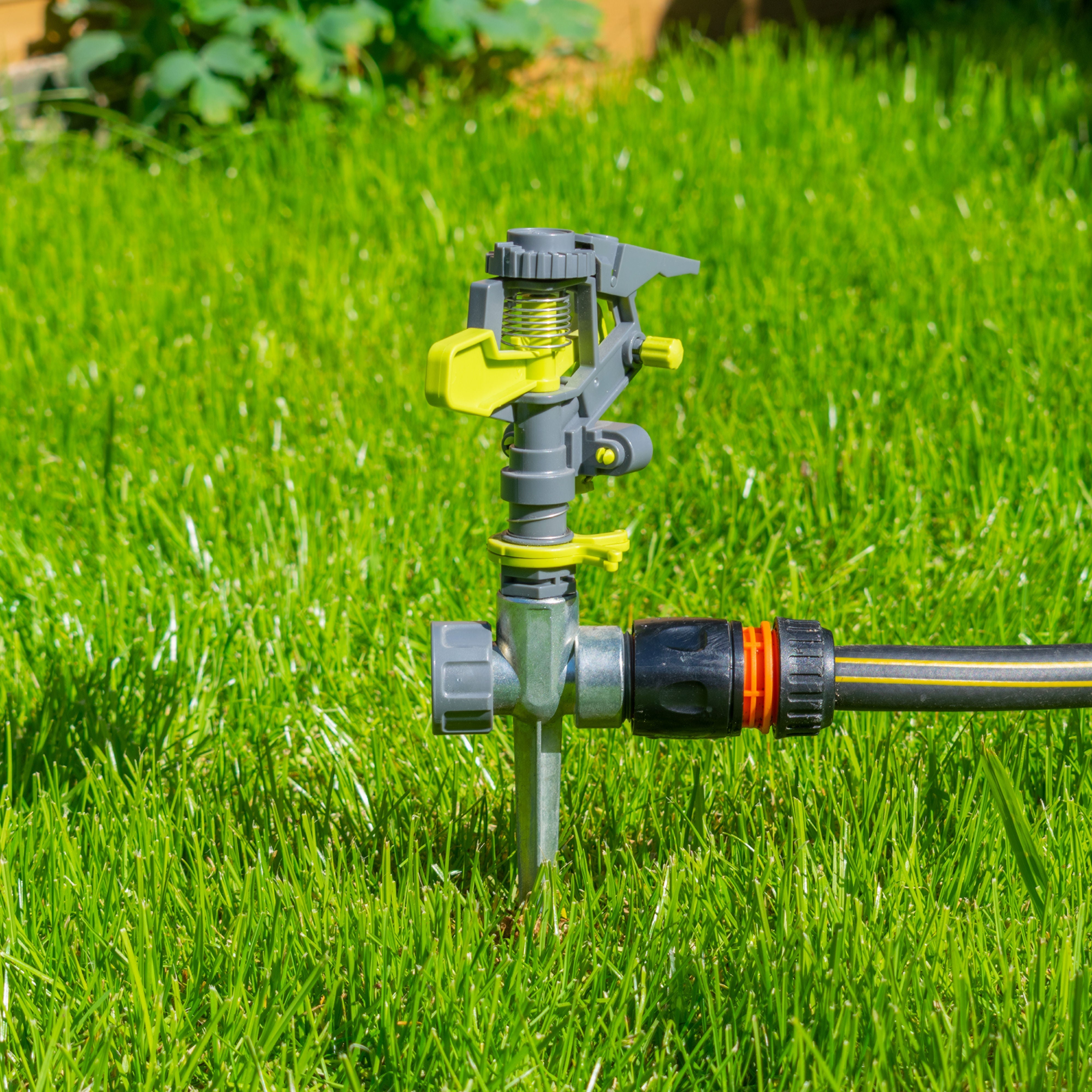 Pulsating Sprinkler on Spike Lime