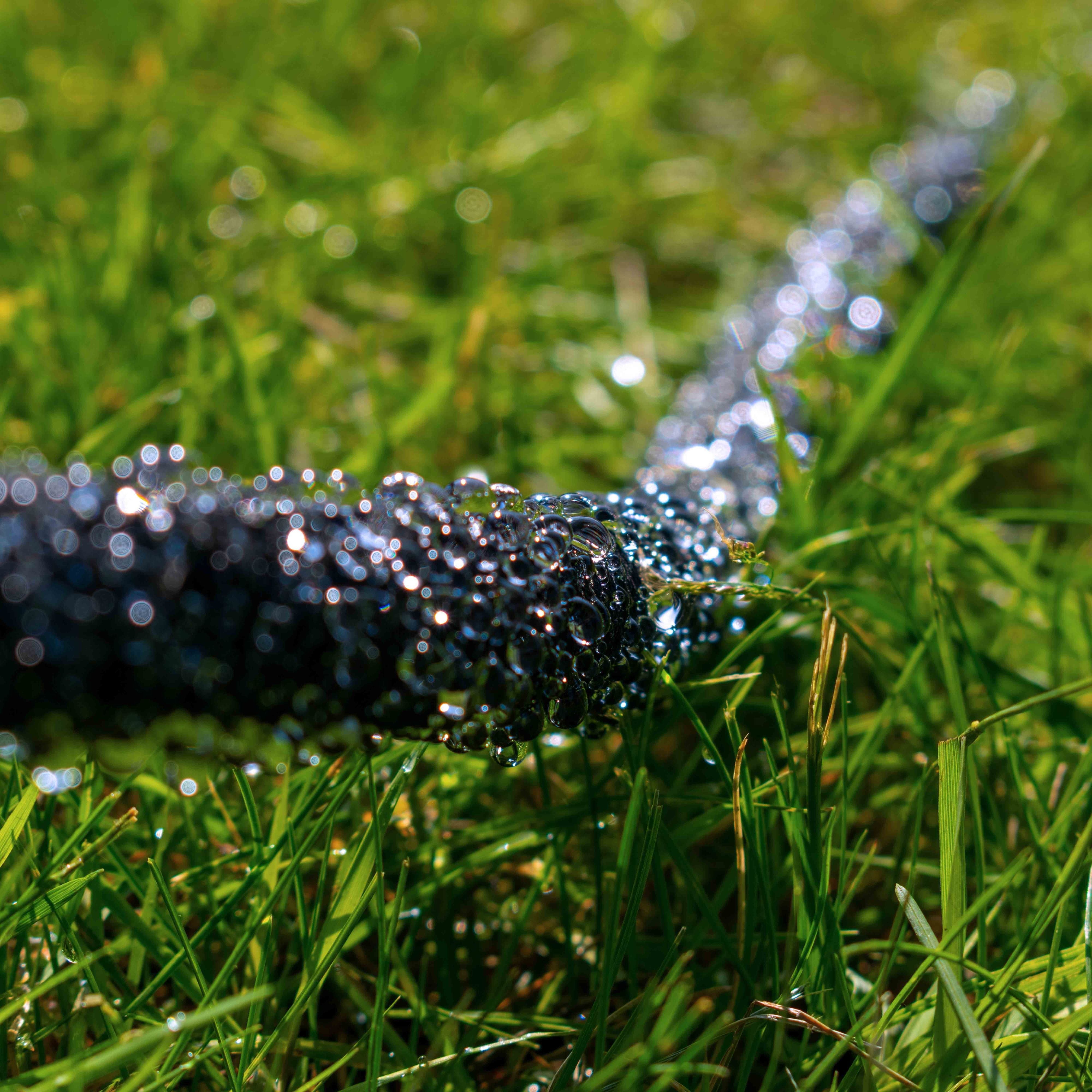 Aqua-Drop Soaker Hose with Connector 15m