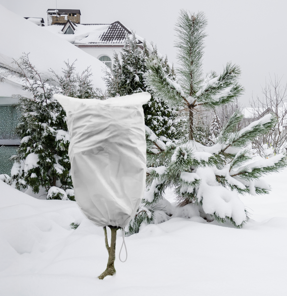 Protective Plant Cover, 50gsm Sack with Cord, Diameter: 51 cm, Size: 0.8m × 1.2m