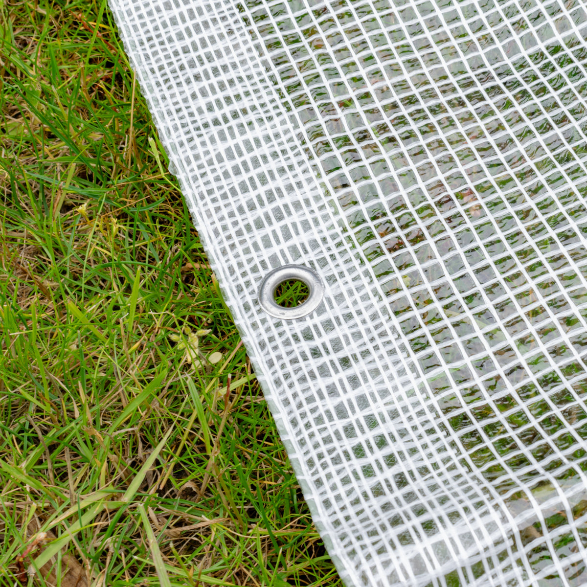 Clear M-Grade Tarpaulin with 10 x 6" Bungee Balls (Black) and 10 x Screw Type Tarp Clips