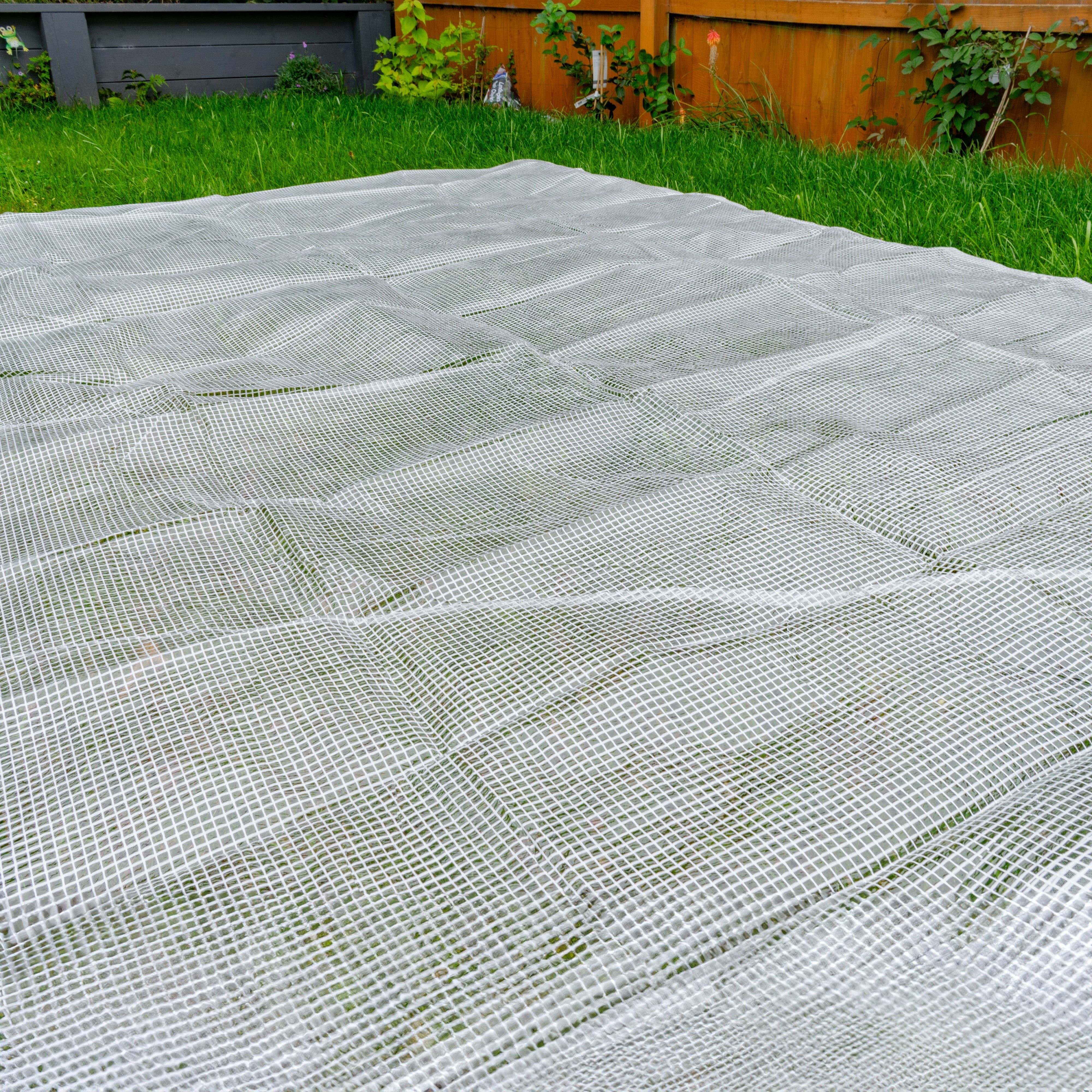 Clear XL-Grade Tarpaulin with 10 x 6" Bungee Balls (Black)