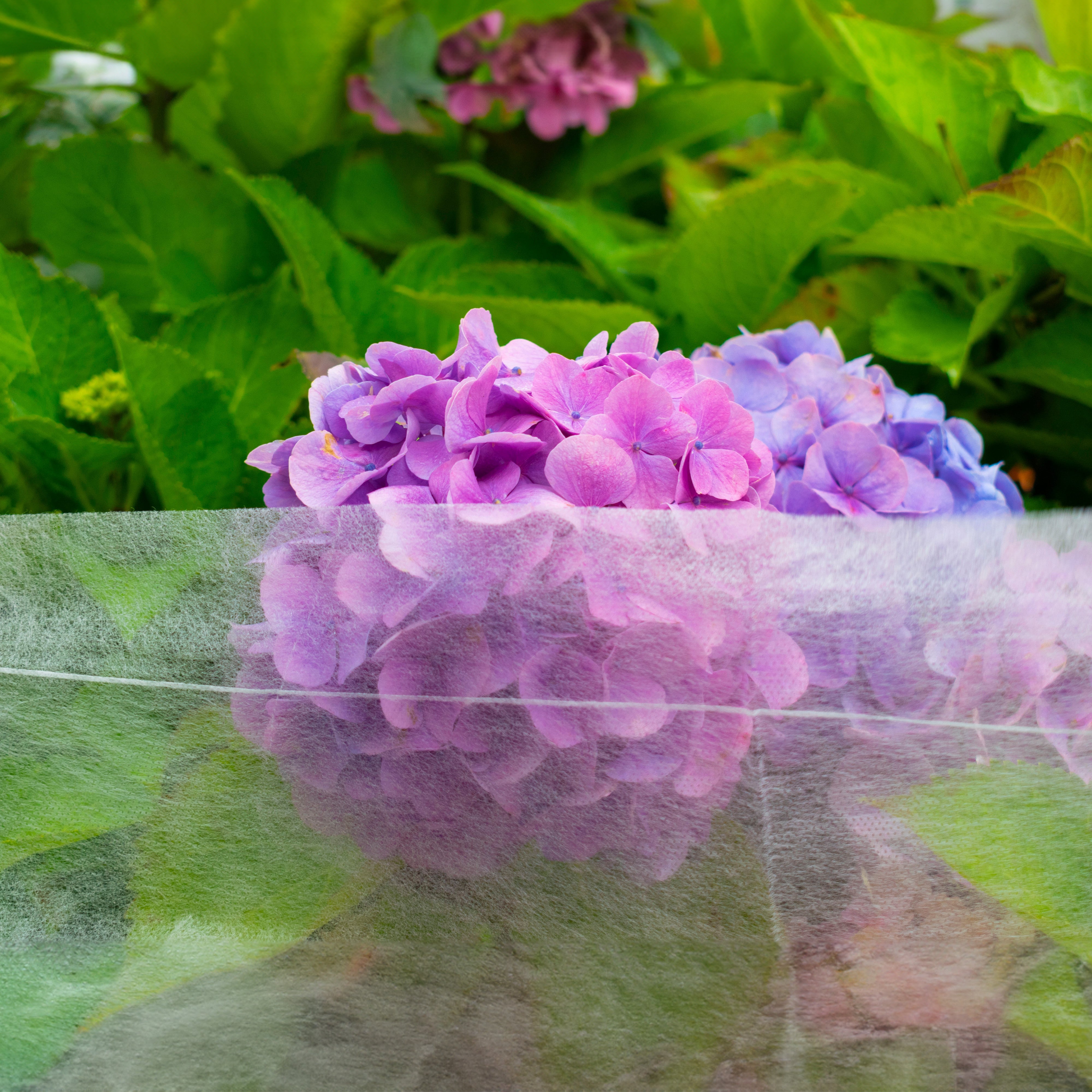 17g Non-Woven Frost Protect Fleece 3.2m x 5m